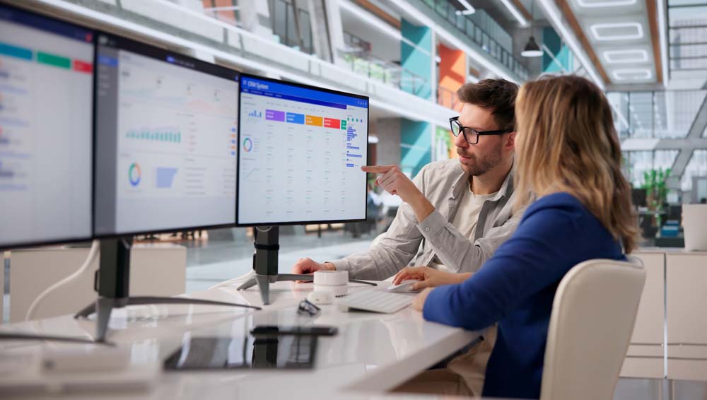 Enterprise Software _Sub-Industries